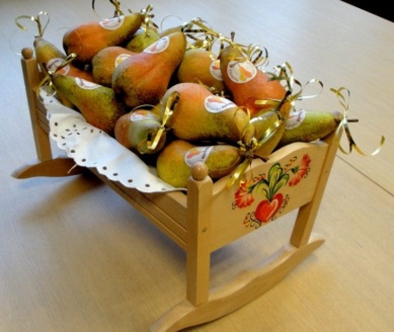 Zlata hruška, kaj pa je to?